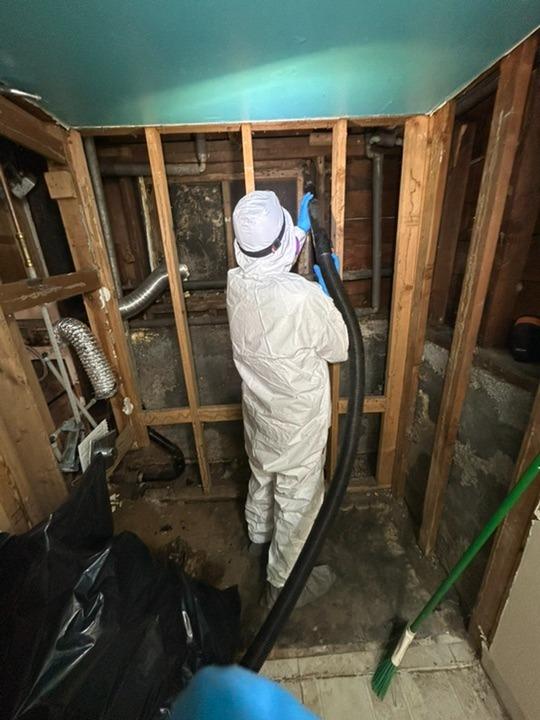What Does Black Mold Look Like? Visual Identification Guide | NuBilt