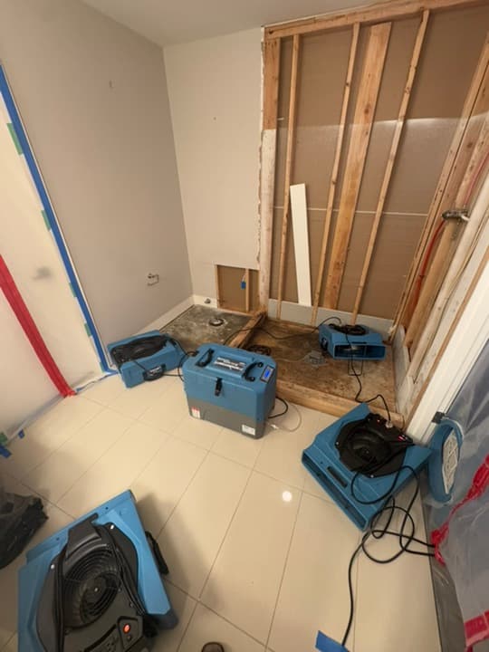 NuBilt Denver restoration project showcasing completed work 3