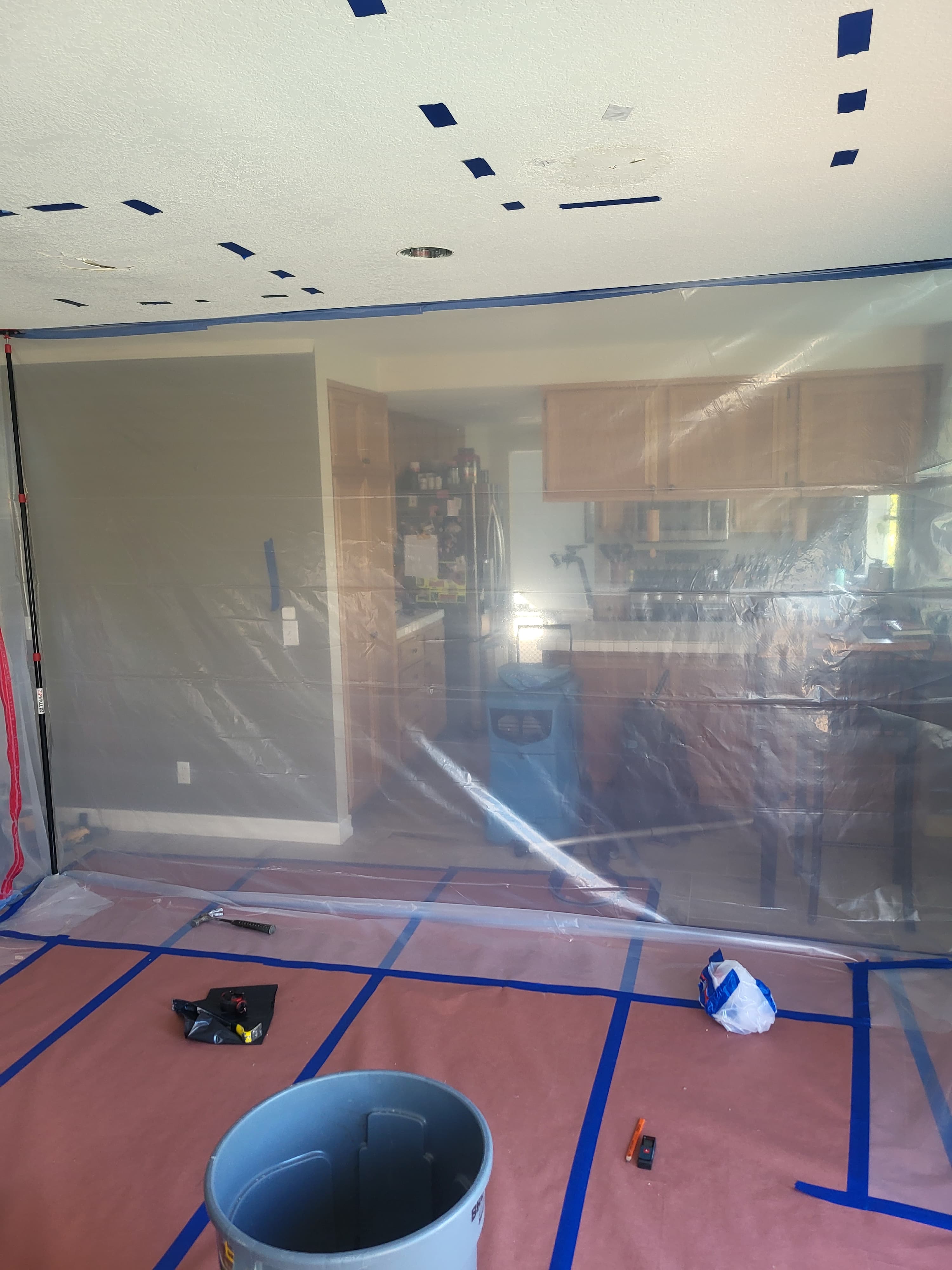 Professional Mold Remediation in Denver - NuBilt Restoration & Construction