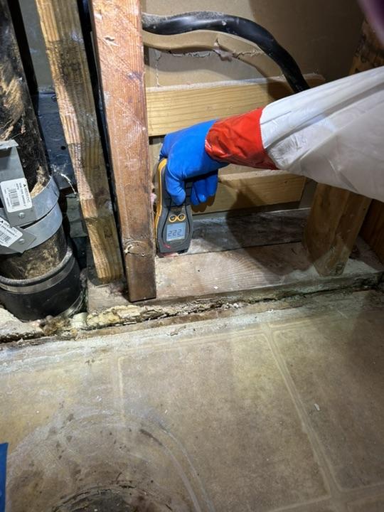 Mold Mitigation Services services provided by NuBilt in the Denver metro area