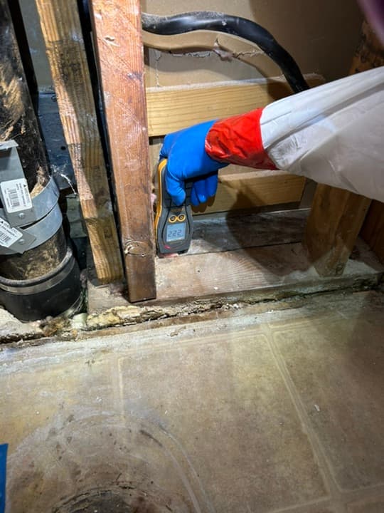 Sewage & Biohazard Cleanup services provided by NuBilt in the Denver metro area