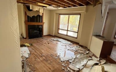 The Critical Importance of Emergency Water Damage Response