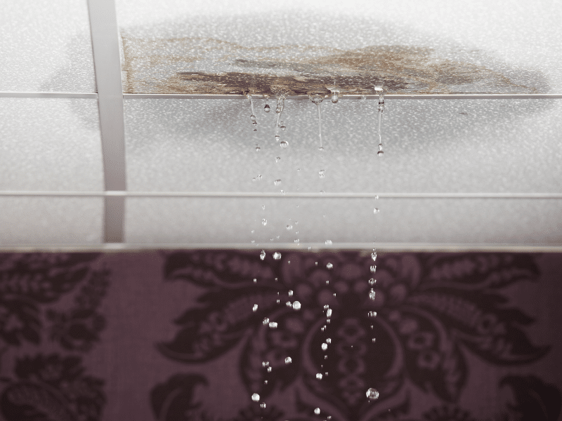 Rainwater leak seeping through the ceiling, showing visible damage to the building's interior.